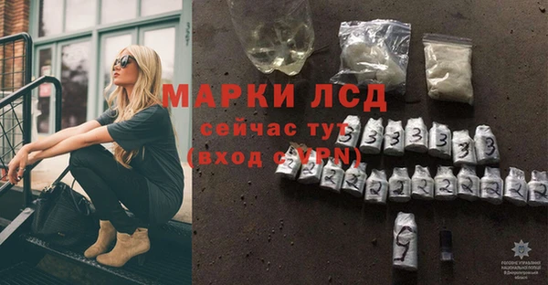 индика Балабаново