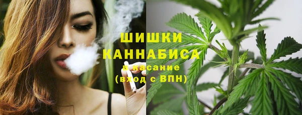 индика Балабаново